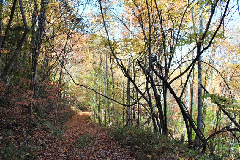 017 beautiful view down the valley on a north facing slope along the internal road
