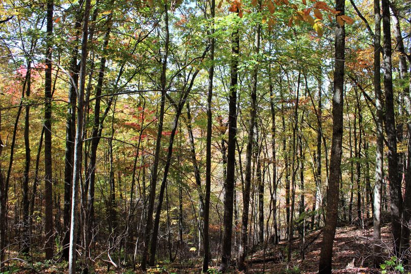 012 view down the valley on a north facing slope