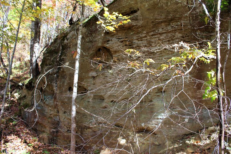 008 another of the rock cliff faces in the eastern portion of the property