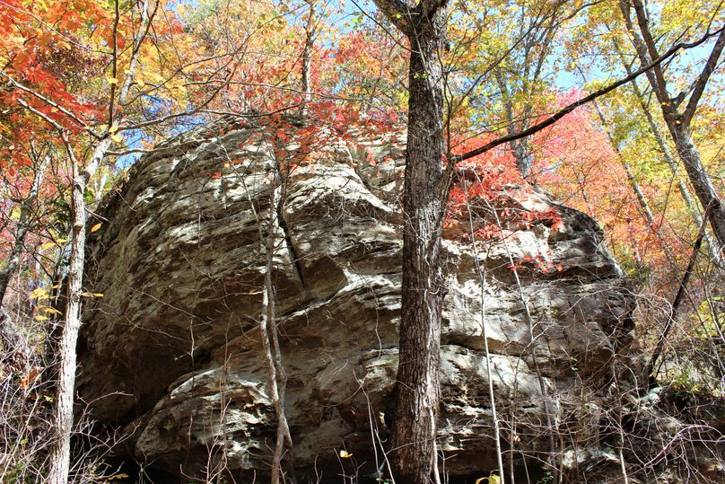 002 a beautiful rock face cliff in the eastern section of the property