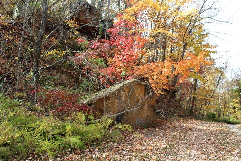 020 a large flat boulder laying at the cut through