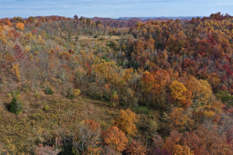 012 view up the valley from the southwest corner