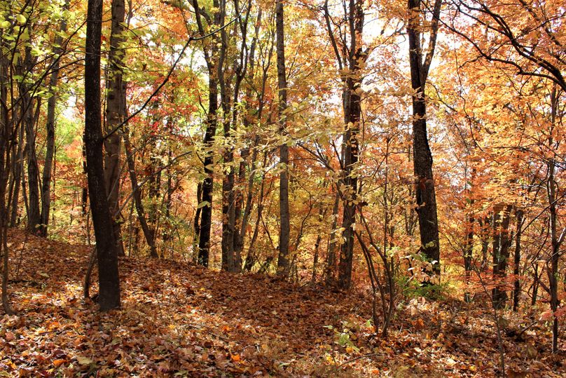 015 those fall colors are to die for!!