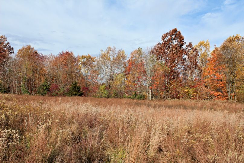 021 the large field along the southeast ridge