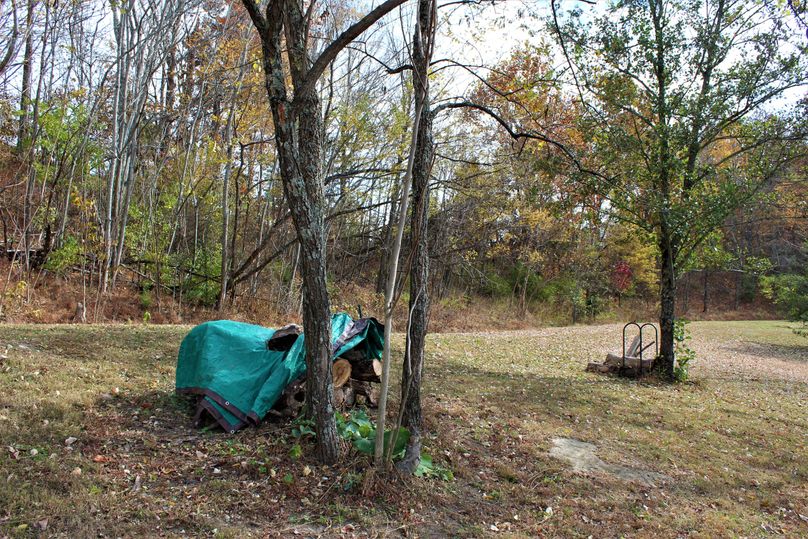 005 the flat open campground area, perfect for multiple cabins