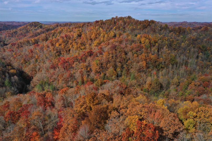 009 the valley to the east portion of the property
