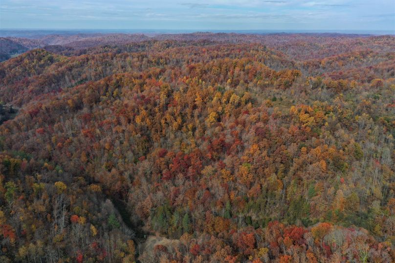 025 aerial drone shot from the south boundary looking west down the valley