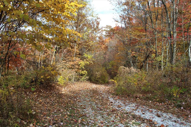 017 the road leading up the hill as you go through the gated entrance