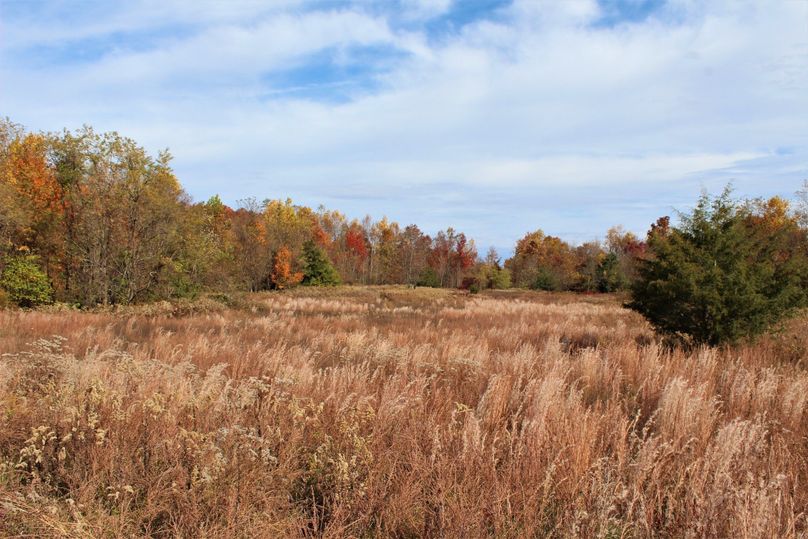 001 the large open field along the main ridge