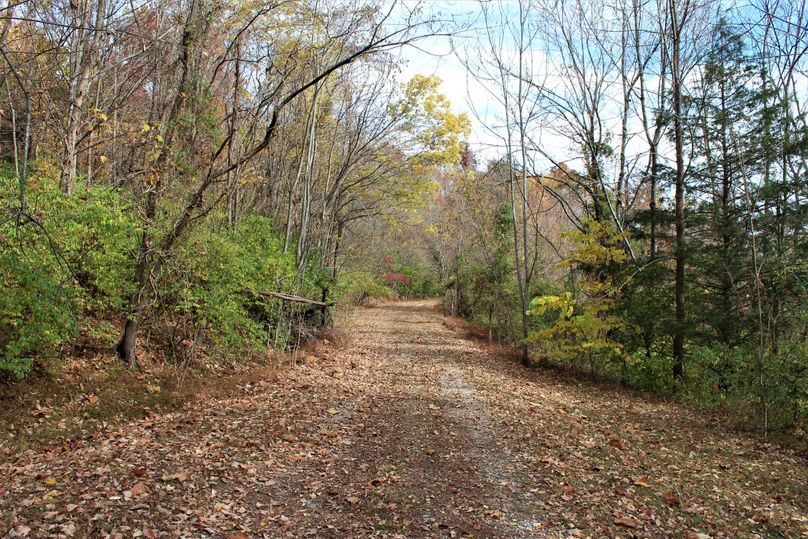 004 the gravel road entrance leading up the hill