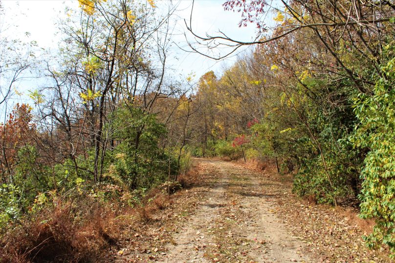 019 the gentle road leading around to the campground area