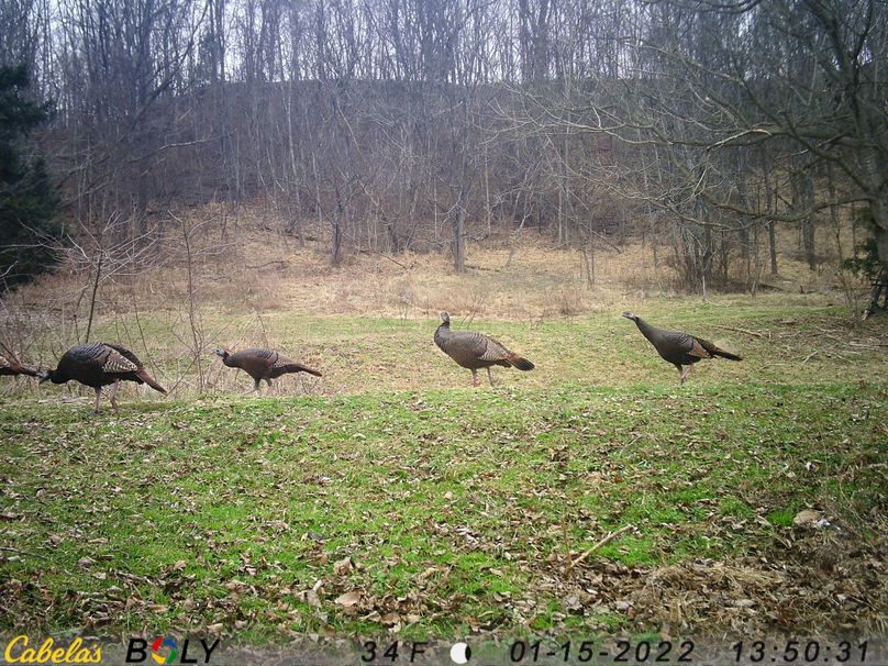 007 no shortage of these guys around