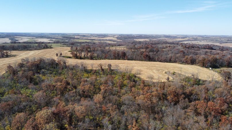 dji_fly_20221101_131818_175_1667326706979_photo_optimized