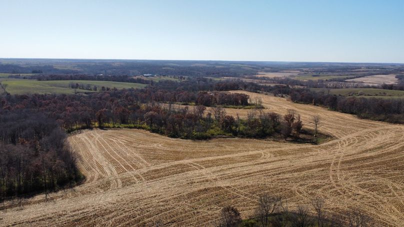 dji_fly_20221101_131852_180_1667326753586_photo_optimized