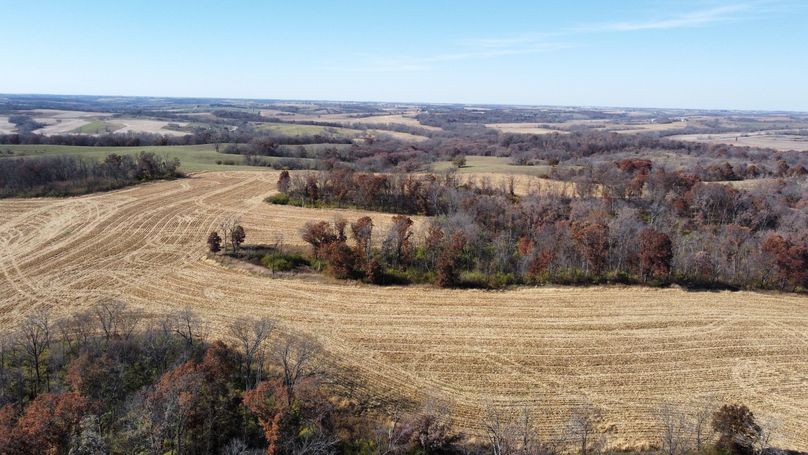 dji_fly_20221101_131846_179_1667326744926_photo_optimized