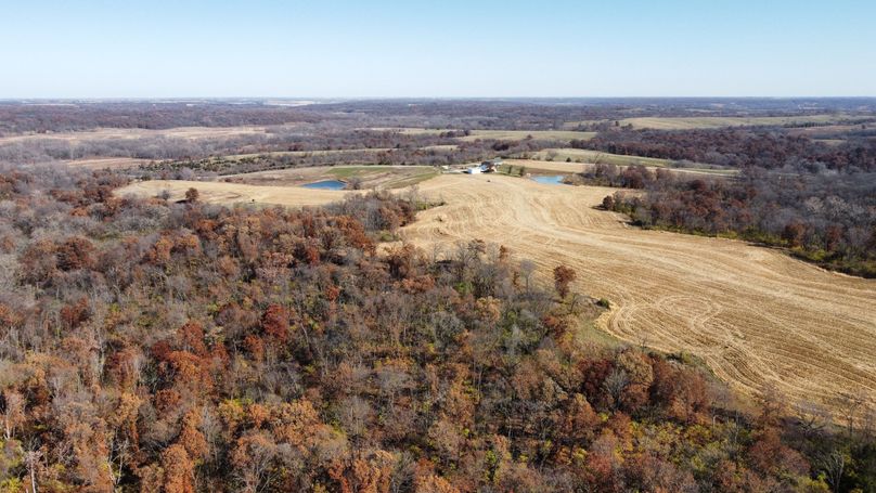 dji_fly_20221101_132046_192_1667326853134_photo_optimized