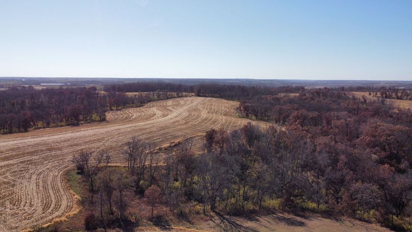 dji_fly_20221101_131642_166_1667326613170_photo_optimized