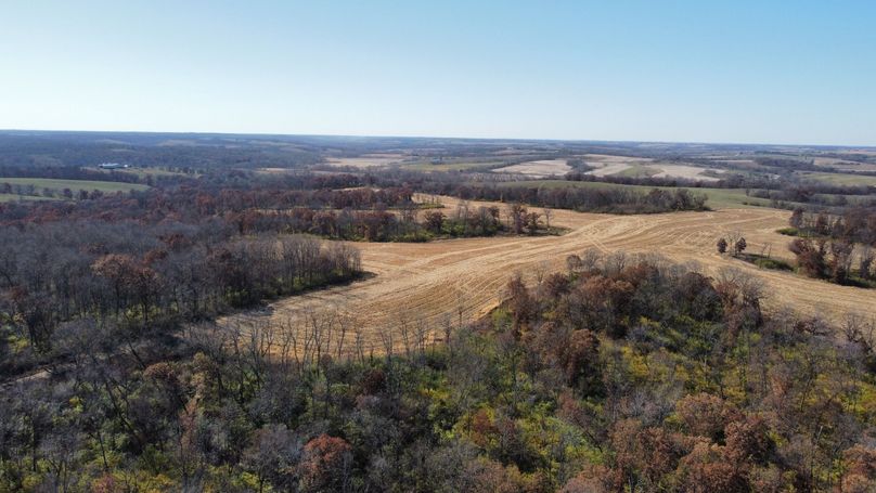 dji_fly_20221101_131824_176_1667326713683_photo_optimized