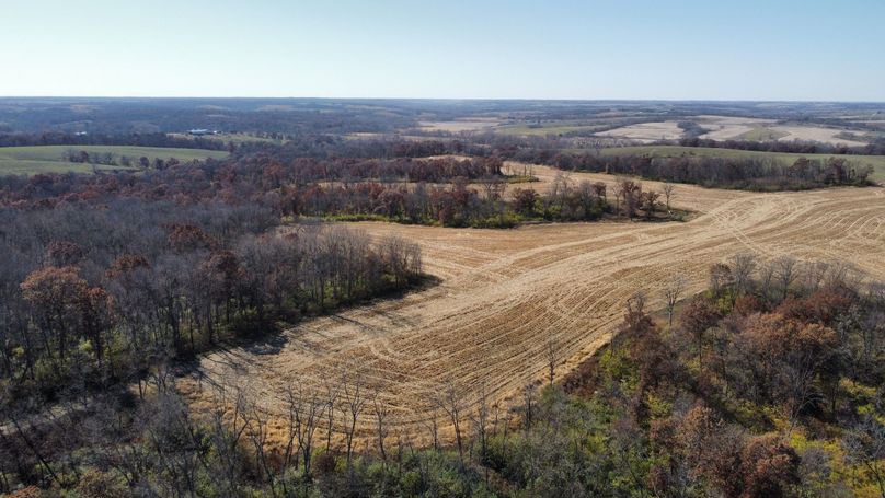 dji_fly_20221101_131836_177_1667326723339_photo_optimized