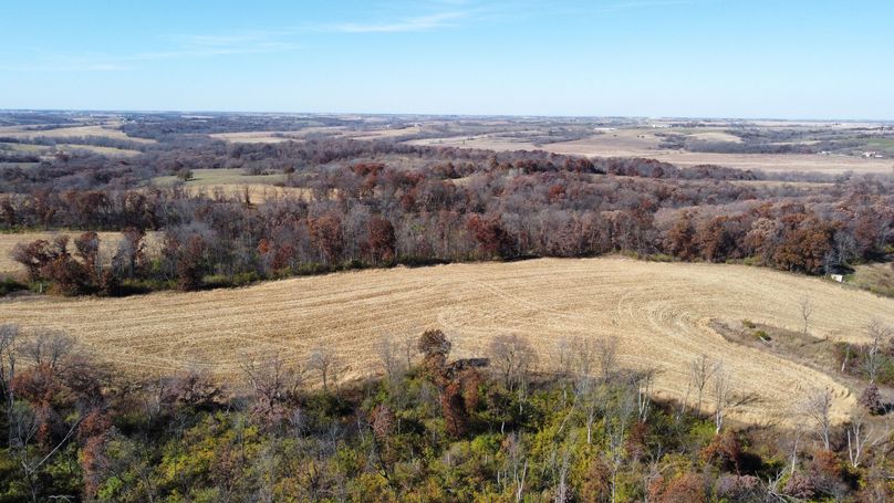 dji_fly_20221101_131842_178_1667326735135_photo_optimized