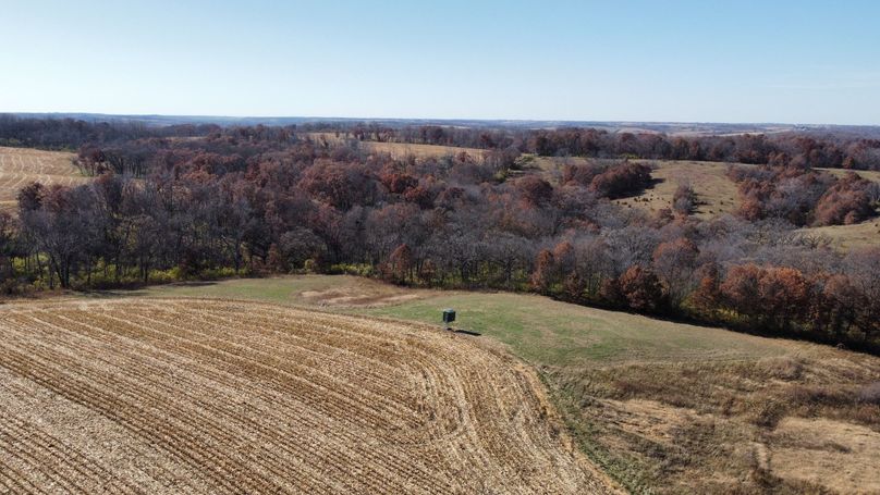 dji_fly_20221101_131540_163_1667326547434_photo_optimized