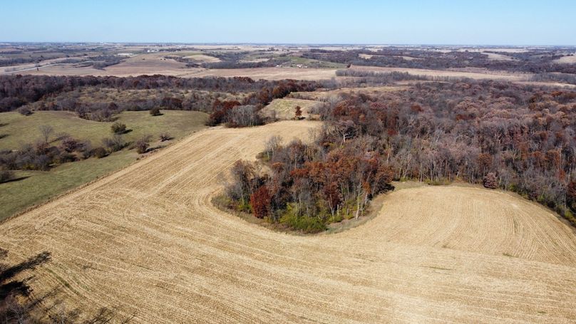 dji_fly_20221101_132012_187_1667326819712_photo_optimized