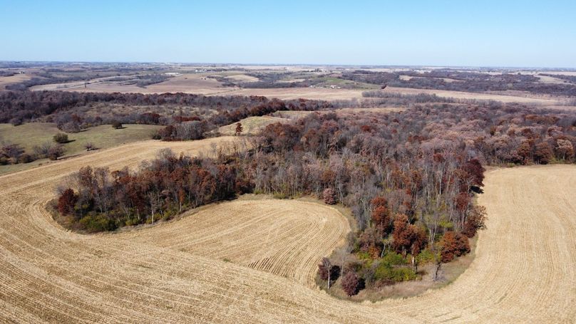 dji_fly_20221101_131938_185_1667326789143_photo_optimized