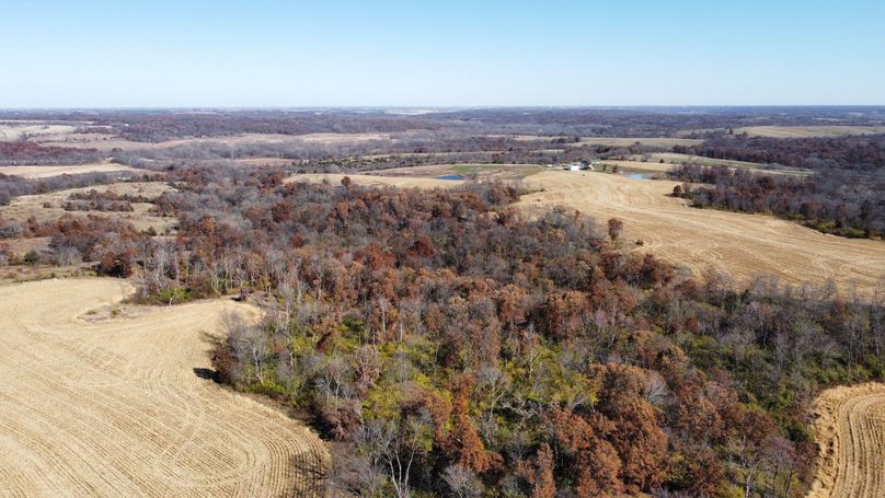 dji_fly_20221101_132030_190_1667326841927_photo_optimized