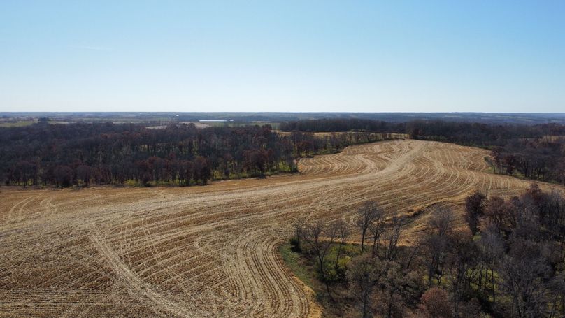 dji_fly_20221101_131654_167_1667326622619_photo_optimized