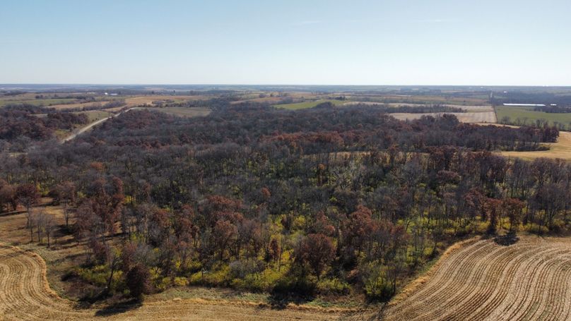 dji_fly_20221101_131734_170_1667326664797_photo_optimized