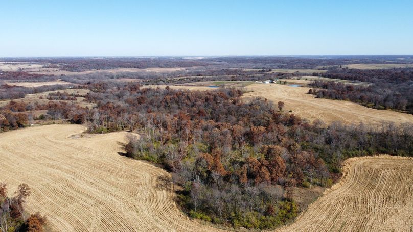 dji_fly_20221101_132024_189_1667326833058_photo_optimized