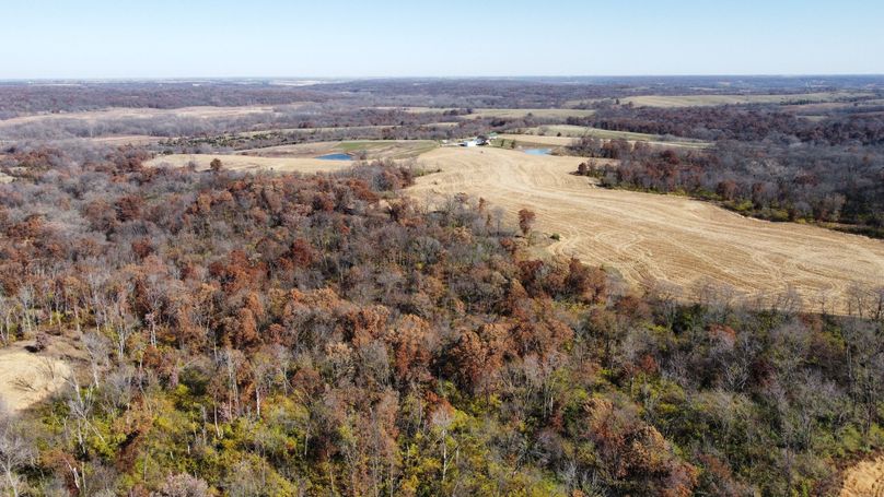 dji_fly_20221101_132036_191_1667326845337_photo_optimized