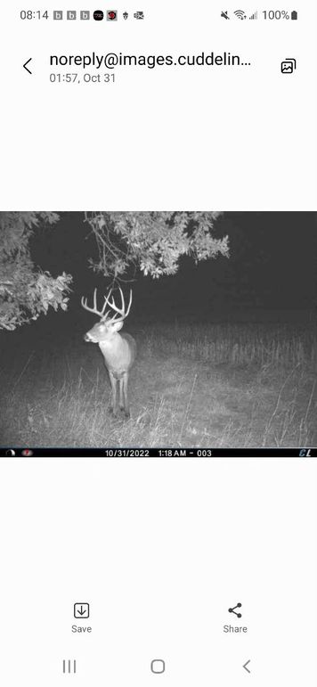 Resized_Screenshot_20221031-081437_Messages