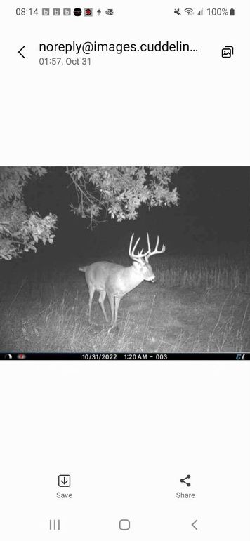 Resized_Screenshot_20221031-081404_Messages