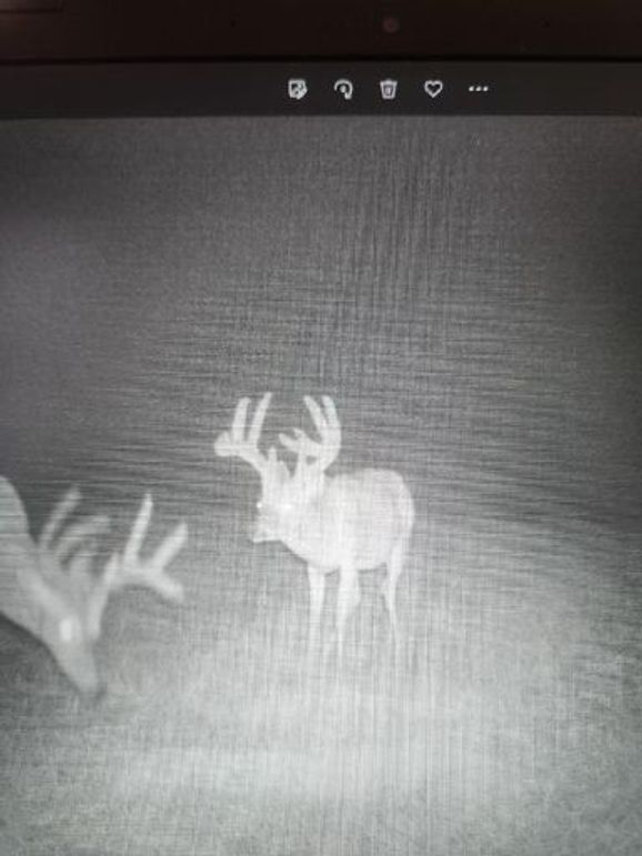 Resized952022103195120022