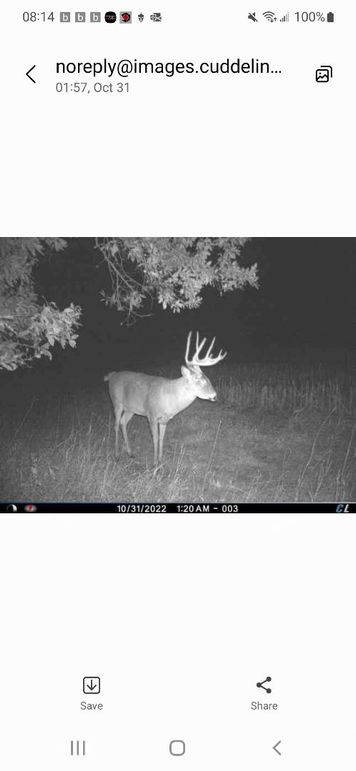 Resized_Screenshot_20221031-081413_Messages