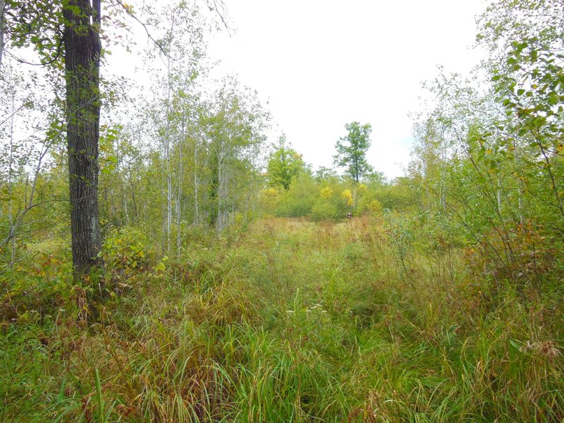 Rusk201.29Smith6-005