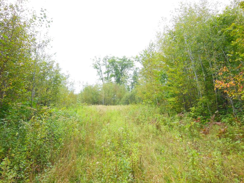 Rusk201.29Smith6-003