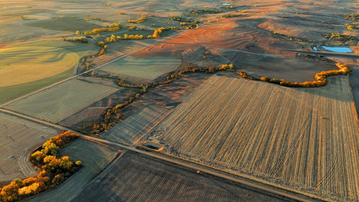 Central KS Irrigated Cropland And Creek Bottom Quarter | Whitetail ...