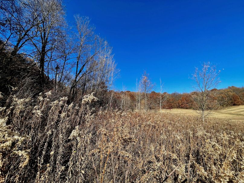 La Crosse 1.95 - 13 of 17