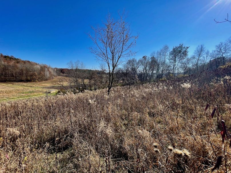 La Crosse 1.95 - 12 of 17