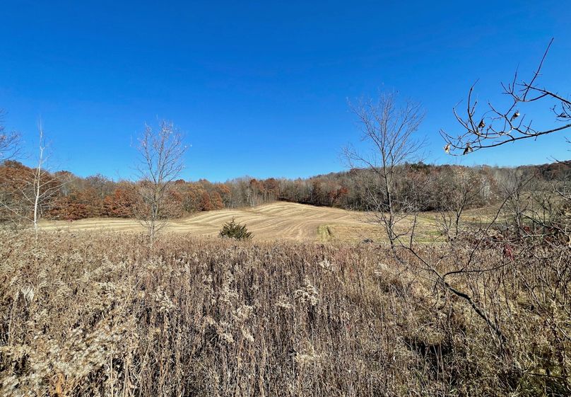 La Crosse 1.95 - 7 of 17