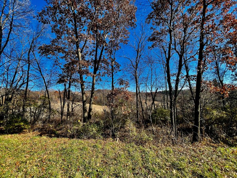 La Crosse 1.95 - 8 of 17