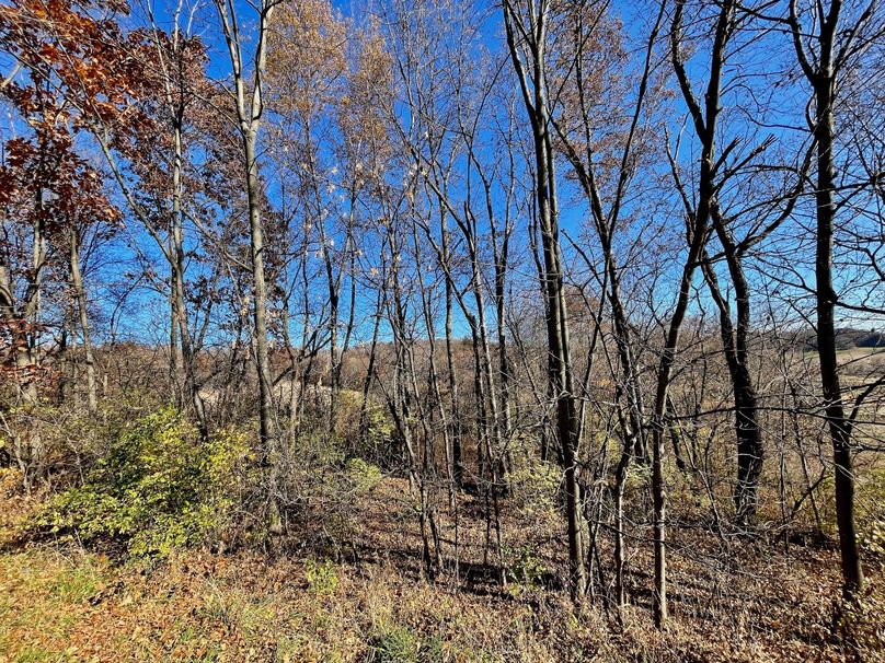 La Crosse 1.95 - 16 of 17