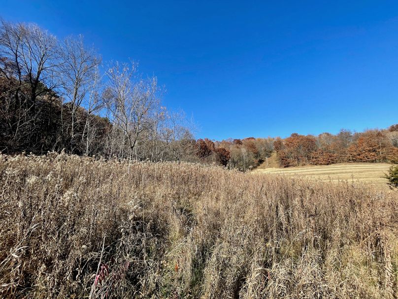 La Crosse 1.95 - 11 of 17