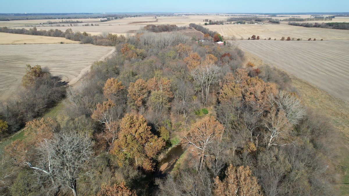 Wooded Recreational Property With Creek Near Lomax Whitetail Properties