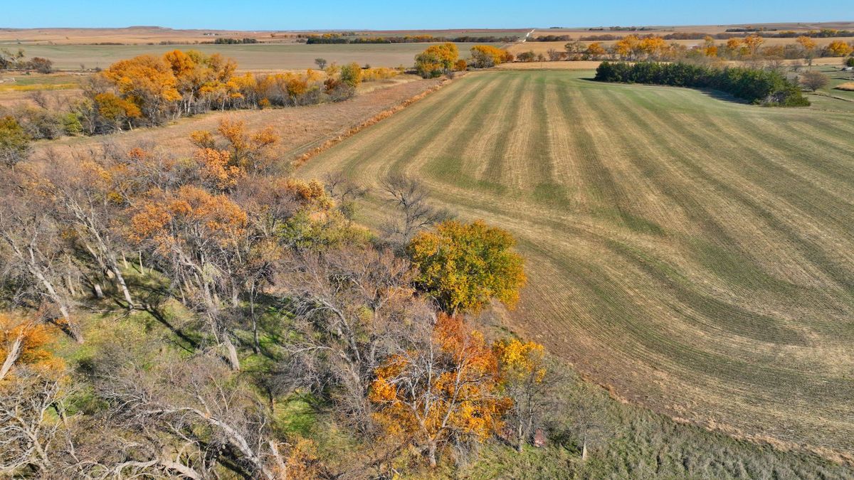 Cropland And Hunting Property North Of Luray Kansas | Whitetail Properties