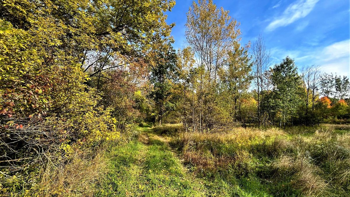 Beautiful Level Building Or Recreational Lot In Silver Creek NY Whitetail Properties