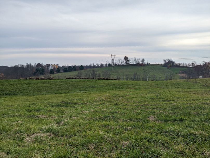 PXL_20221102_205522902