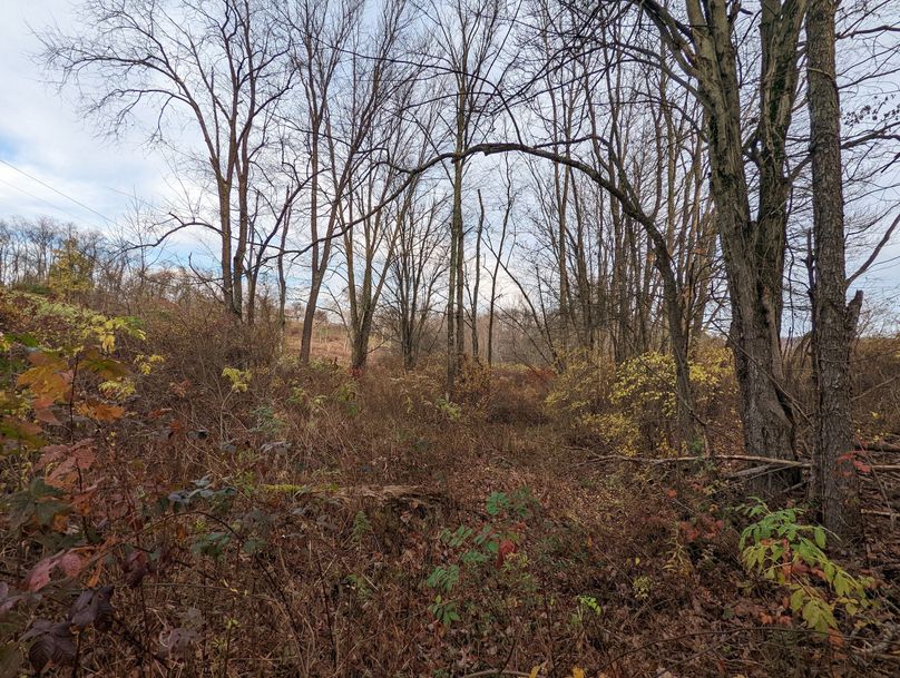 PXL_20221102_210906718